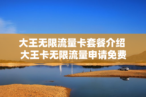 大王无限流量卡套餐介绍 大王卡无限流量申请免费