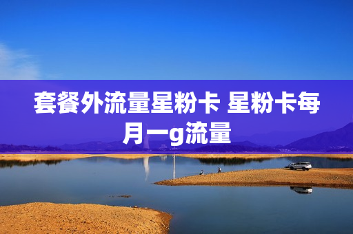 套餐外流量星粉卡 星粉卡每月一g流量