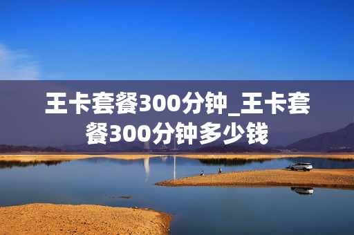 王卡套餐300分钟_王卡套餐300分钟多少钱