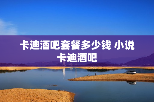 卡迪酒吧套餐多少钱 小说卡迪酒吧