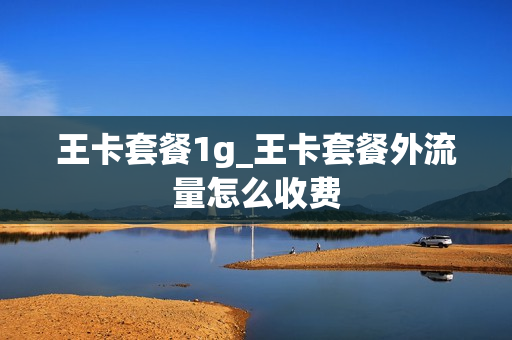 王卡套餐1g_王卡套餐外流量怎么收费