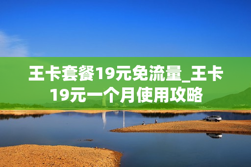 王卡套餐19元免流量_王卡19元一个月使用攻略