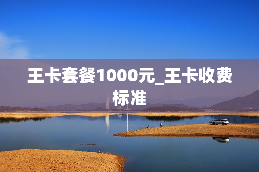 王卡套餐1000元_王卡收费标准