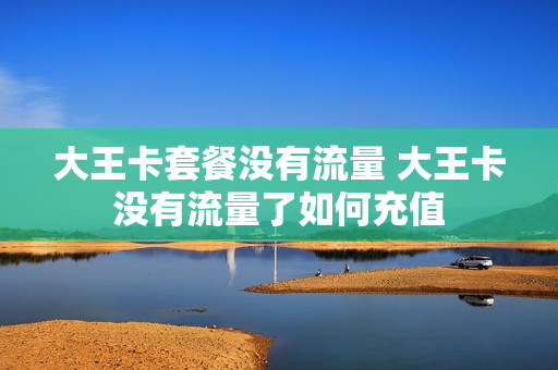 大王卡套餐没有流量 大王卡没有流量了如何充值