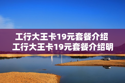 工行大王卡19元套餐介绍 工行大王卡19元套餐介绍明细