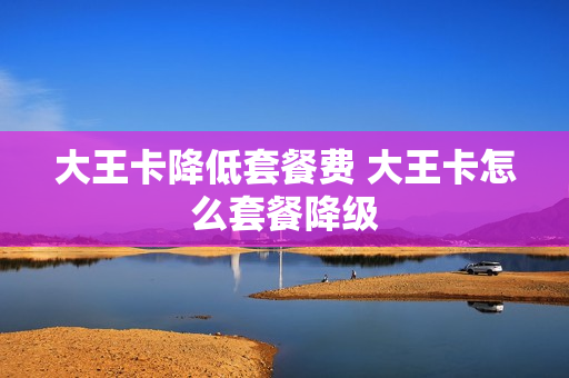 大王卡降低套餐费 大王卡怎么套餐降级