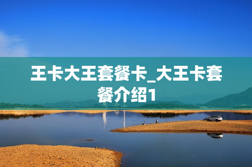王卡大王套餐卡_大王卡套餐介绍1