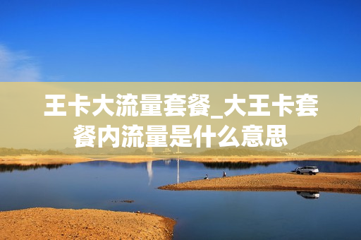 王卡大流量套餐_大王卡套餐内流量是什么意思