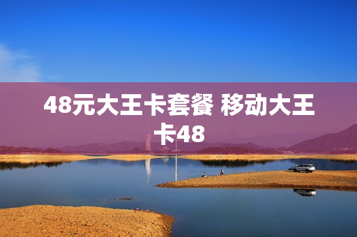 48元大王卡套餐 移动大王卡48