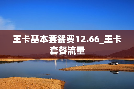 王卡基本套餐费12.66_王卡套餐流量