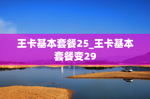 王卡基本套餐25_王卡基本套餐变29