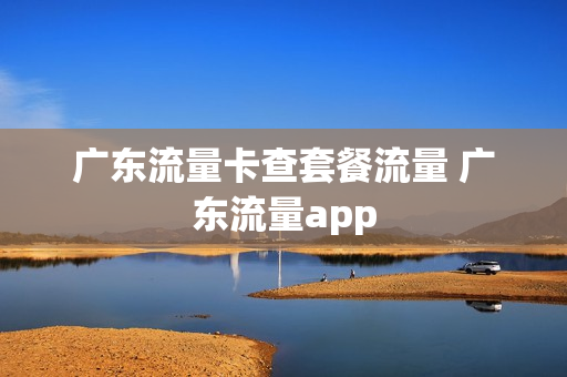 广东流量卡查套餐流量 广东流量app