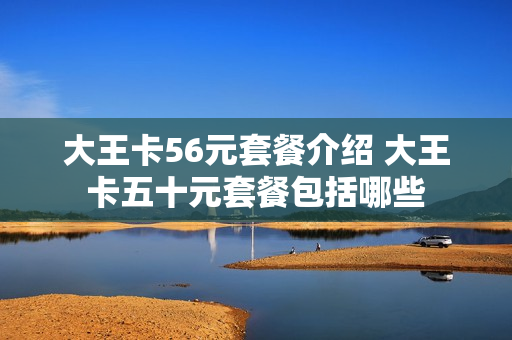 大王卡56元套餐介绍 大王卡五十元套餐包括哪些