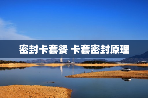 密封卡套餐 卡套密封原理