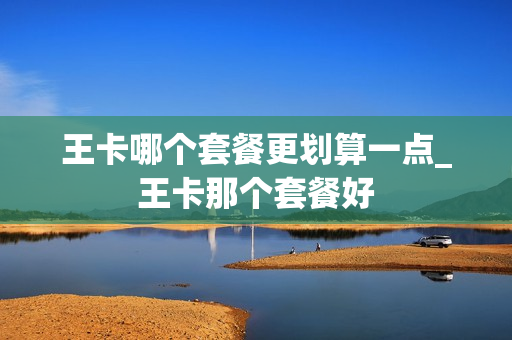 王卡哪个套餐更划算一点_王卡那个套餐好