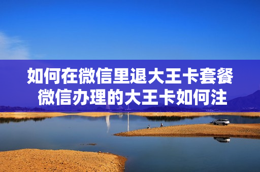 如何在微信里退大王卡套餐 微信办理的大王卡如何注销