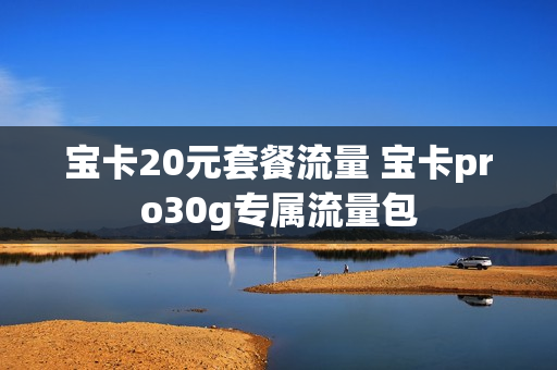 宝卡20元套餐流量 宝卡pro30g专属流量包