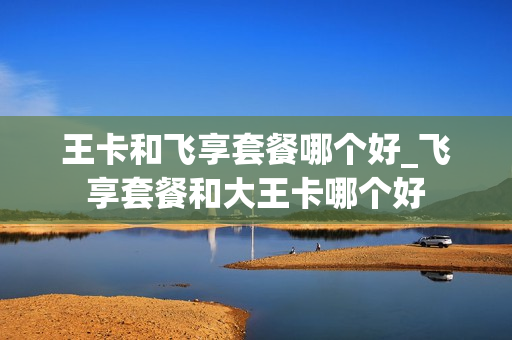 王卡和飞享套餐哪个好_飞享套餐和大王卡哪个好