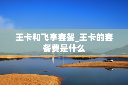 王卡和飞享套餐_王卡的套餐费是什么