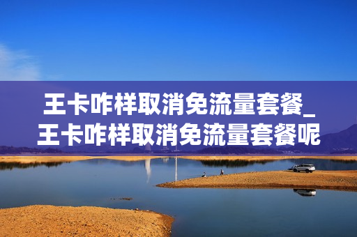 王卡咋样取消免流量套餐_王卡咋样取消免流量套餐呢