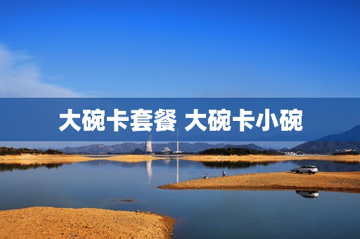 大碗卡套餐 大碗卡小碗