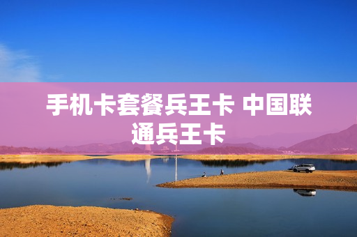 手机卡套餐兵王卡 中国联通兵王卡