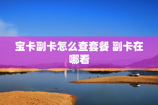 宝卡副卡怎么查套餐 副卡在哪看