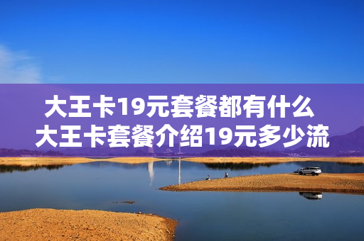 大王卡19元套餐都有什么 大王卡套餐介绍19元多少流量