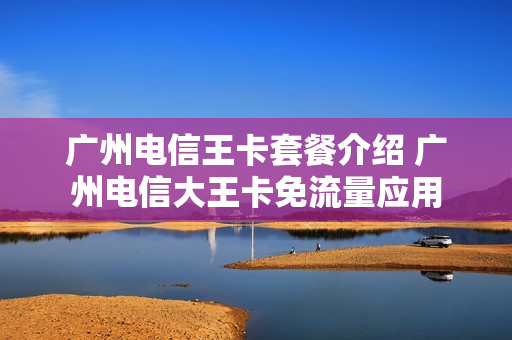 广州电信王卡套餐介绍 广州电信大王卡免流量应用