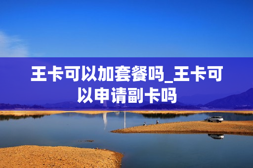 王卡可以加套餐吗_王卡可以申请副卡吗