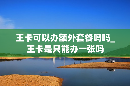 王卡可以办额外套餐吗吗_王卡是只能办一张吗