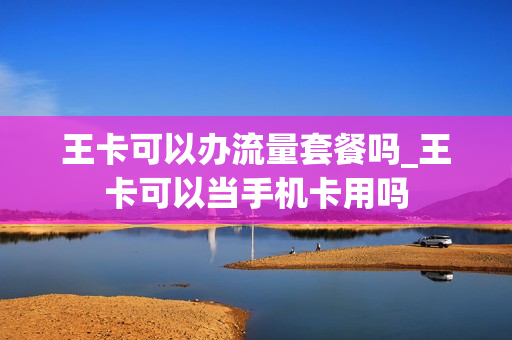 王卡可以办流量套餐吗_王卡可以当手机卡用吗