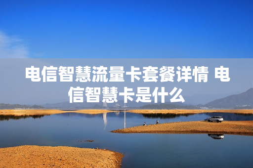 电信智慧流量卡套餐详情 电信智慧卡是什么