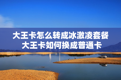 大王卡怎么转成冰激凌套餐 大王卡如何换成普通卡