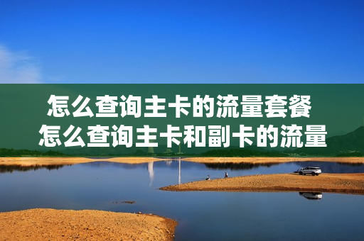怎么查询主卡的流量套餐 怎么查询主卡和副卡的流量使用情况