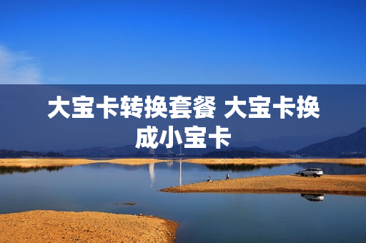 大宝卡转换套餐 大宝卡换成小宝卡