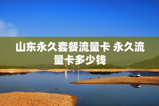 山东永久套餐流量卡 永久流量卡多少钱