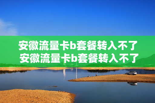 安徽流量卡b套餐转入不了 安徽流量卡b套餐转入不了
