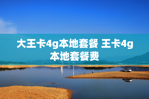 大王卡4g本地套餐 王卡4g本地套餐费