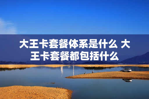 大王卡套餐体系是什么 大王卡套餐都包括什么