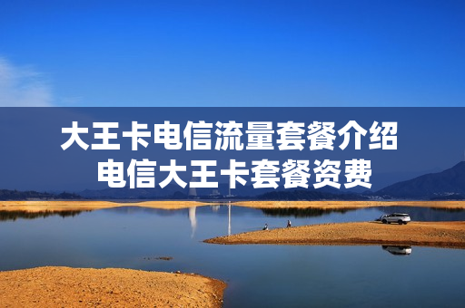 大王卡电信流量套餐介绍 电信大王卡套餐资费