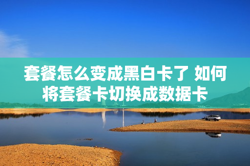 套餐怎么变成黑白卡了 如何将套餐卡切换成数据卡