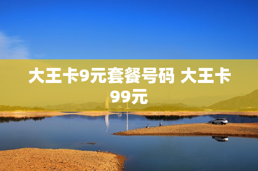 大王卡9元套餐号码 大王卡99元