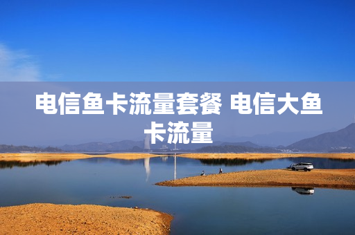电信鱼卡流量套餐 电信大鱼卡流量