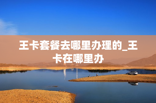 王卡套餐去哪里办理的_王卡在哪里办