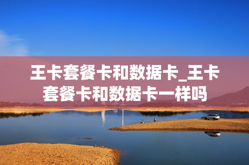 王卡套餐卡和数据卡_王卡套餐卡和数据卡一样吗