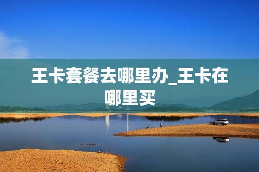 王卡套餐去哪里办_王卡在哪里买