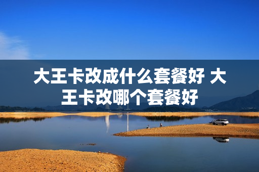 大王卡改成什么套餐好 大王卡改哪个套餐好