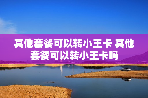 其他套餐可以转小王卡 其他套餐可以转小王卡吗