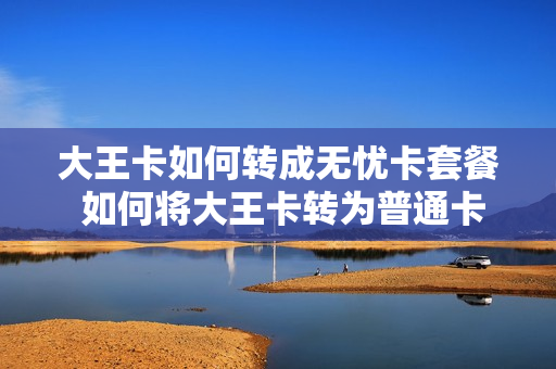 大王卡如何转成无忧卡套餐 如何将大王卡转为普通卡